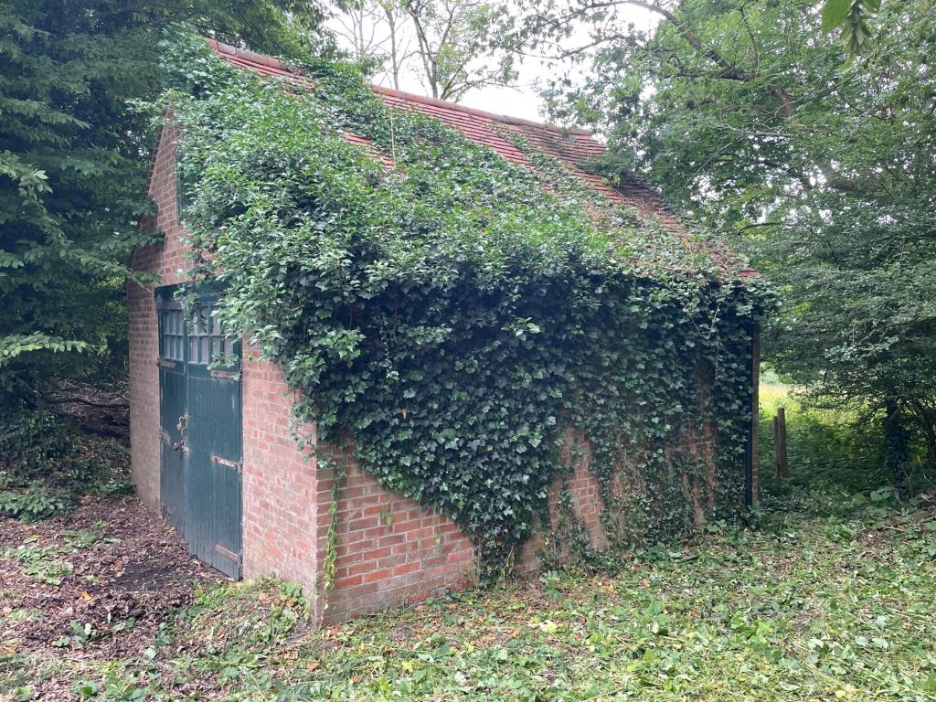 Lot: 147 - DETACHED BUILDING WITH POTENTIAL - front/side of property